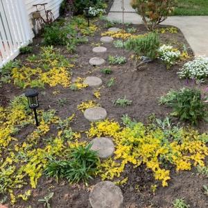 Gardens beginning to bloom