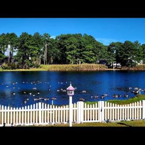 Photo #52 of 5342 HIBISCUS DR, CHINCOTEAGUE, VA 14,544.0 acres