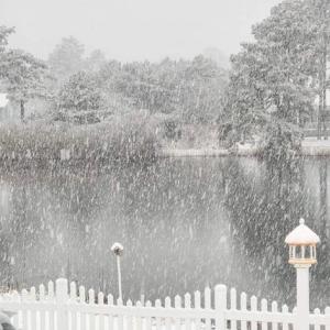 Photo #53 of 5342 HIBISCUS DR, CHINCOTEAGUE, VA 14,544.0 acres