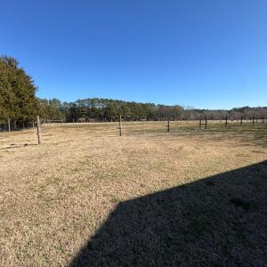 View from barn loafing area.