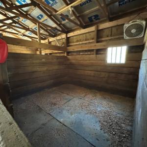 Stall  - there are 4 total, plus a wash stall