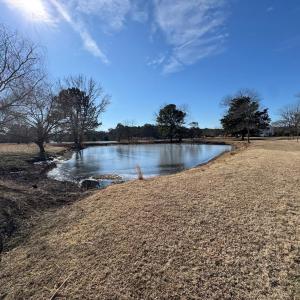 Photo #81 of 16229 FINNEY CREEK LN, ONANCOCK, VA 9.3 acres