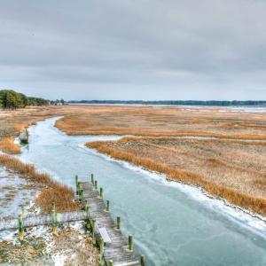 Photo #52 of 7214 FIDDLER LN, CHINCOTEAGUE, VA 0.0 acres