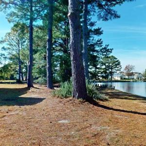 Photo #35 of 18095 BLACK MALLARD WAY, ONANCOCK, VA 0.5 acres