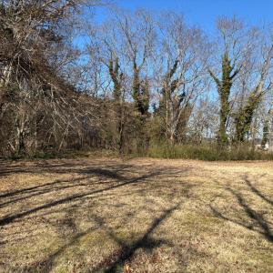Photo #19 of 35394 BELLE HAVEN RD, BELLE HAVEN, VA 1.2 acres