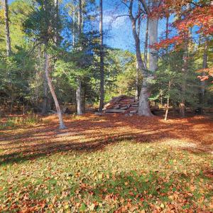 Photo #45 of 38100 CASTAWAY DR, GREENBACKVILLE, VA 9,750.0 acres