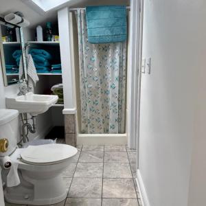 Photo #19 of 5572 MAIN ST, CHINCOTEAGUE, VA 0.2 acres