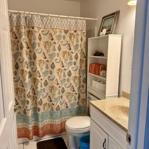 Photo #14 of 5572 MAIN ST, CHINCOTEAGUE, VA 0.2 acres