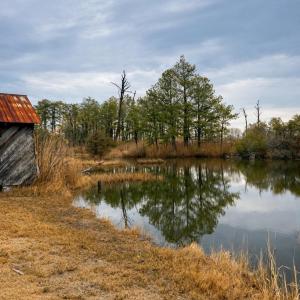 Photo #15 of 5572 MAIN ST, CHINCOTEAGUE, VA 0.2 acres