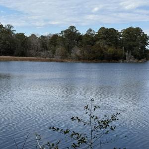 Photo #29 of 10388 HIGHLAND CT, EXMORE, VA 1.4 acres