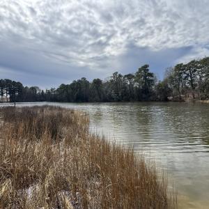 Photo #30 of 10388 HIGHLAND CT, EXMORE, VA 1.4 acres