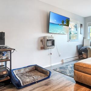 Photo #12 of 19346 MINK FARM RD, ONANCOCK, VA 4.9 acres