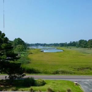 Photo #68 of 7181 BUNTING RD, CHINCOTEAGUE, VA 0.1 acres