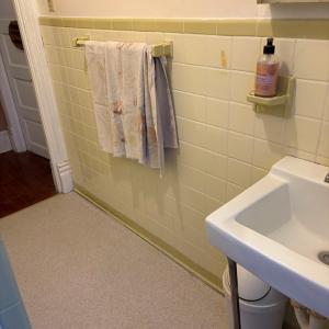 Photo #47 of 24346 MAXWELL STREET, PARKSLEY, VA 0.3 acres