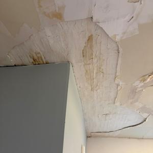 Photo #49 of 24346 MAXWELL STREET, PARKSLEY, VA 0.3 acres