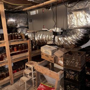 Photo #52 of 24346 MAXWELL STREET, PARKSLEY, VA 0.3 acres