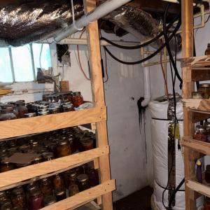 Photo #21 of 24346 MAXWELL STREET, PARKSLEY, VA 0.3 acres