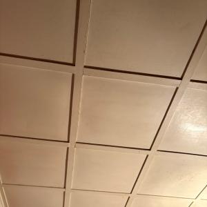 Photo #9 of 24346 MAXWELL STREET, PARKSLEY, VA 0.3 acres