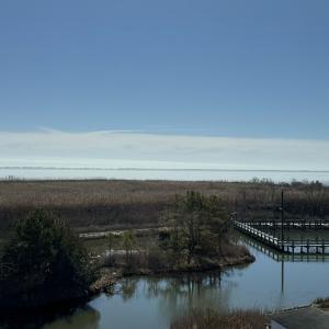 Photo #26 of 1505 BAYFRONT ST, GREENBACKVILLE, VA 0.8 acres