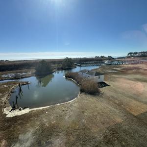 Photo #27 of 1505 BAYFRONT ST, GREENBACKVILLE, VA 0.8 acres