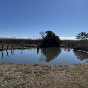 Photo #28 of 1505 BAYFRONT ST, GREENBACKVILLE, VA 0.8 acres