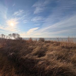 Photo #13 of 4150 BATTLE POINT RD, EXMORE, VA 0.5 acres