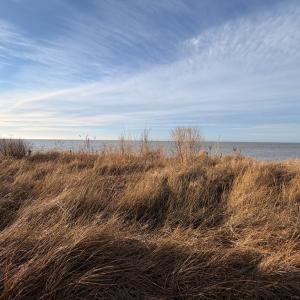 Photo #14 of 4150 BATTLE POINT RD, EXMORE, VA 0.5 acres