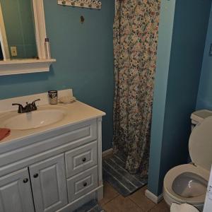 Photo #9 of 29138 PHILLIPS DR, MELFA, VA 0.3 acres