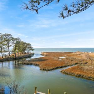 Photo #48 of 4443 SHADY LN, CHINCOTEAGUE, VA 1.5 acres
