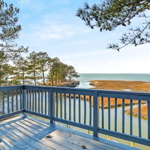 Photo #44 of 4443 SHADY LN, CHINCOTEAGUE, VA 1.5 acres