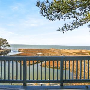 Photo #49 of 4443 SHADY LN, CHINCOTEAGUE, VA 1.5 acres