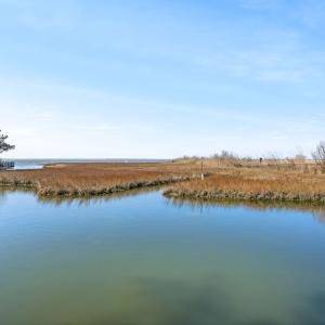 Photo #72 of 4443 SHADY LN, CHINCOTEAGUE, VA 1.5 acres