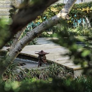 Photo #14 of 6228 CHURCH ST, CHINCOTEAGUE, VA 0.2 acres