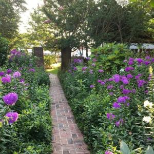 Photo #4 of 6228 CHURCH ST, CHINCOTEAGUE, VA 0.2 acres