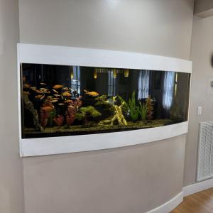 Back House Fish Tank