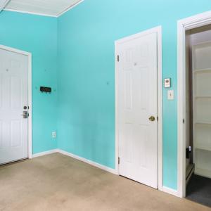 Photo #28 of 3560 CAPTAINS CORRIDOR, GREENBACKVILLE, VA 10,500.0 acres