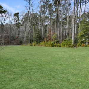 Photo #9 of 3560 CAPTAINS CORRIDOR, GREENBACKVILLE, VA 10,500.0 acres