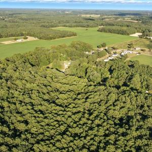 Photo #5 of 33089 BOSTON RD, PAINTER, VA 0.5 acres