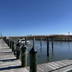 Town Dock