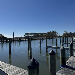 Town Dock