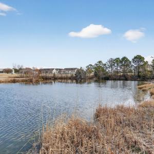 Photo #45 of 3452 CAPTAINS CORRIDOR, GREENBACKVILLE, VA 0.3 acres