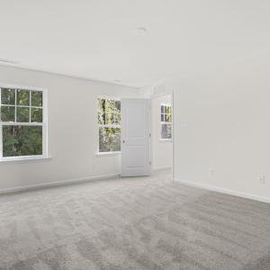 Photo #22 of 1099 AMIDSHIP DR, GREENBACKVILLE, VA 65.0 acres