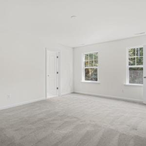 Photo #19 of 3238 AMIDSHIP DR, GREENBACKVILLE, VA 65.0 acres