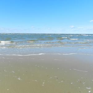 Photo #3 of 4291 PEACEFUL ACRES CT, JAMESVILLE, VA 5.8 acres