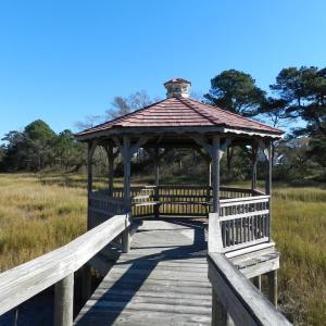 Photo #49 of 4291 PEACEFUL ACRES CT, JAMESVILLE, VA 5.8 acres