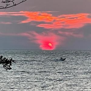 Photo #62 of 4291 PEACEFUL ACRES CT, JAMESVILLE, VA 5.8 acres