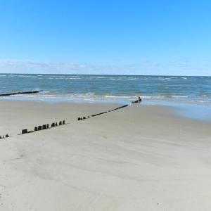 Photo #51 of 4291 PEACEFUL ACRES CT, JAMESVILLE, VA 5.8 acres