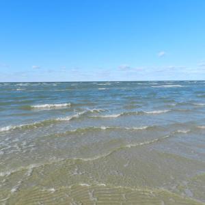 Photo #52 of 4291 PEACEFUL ACRES CT, JAMESVILLE, VA 5.8 acres