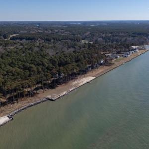 Photo #57 of 4291 PEACEFUL ACRES CT, JAMESVILLE, VA 5.8 acres