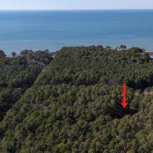 Photo #47 of 4291 PEACEFUL ACRES CT, EXMORE, VA 5.8 acres